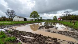 Ministério da Agricultura lança plataforma para sinalizar prejuízos