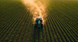 linha de apoio a agricultores